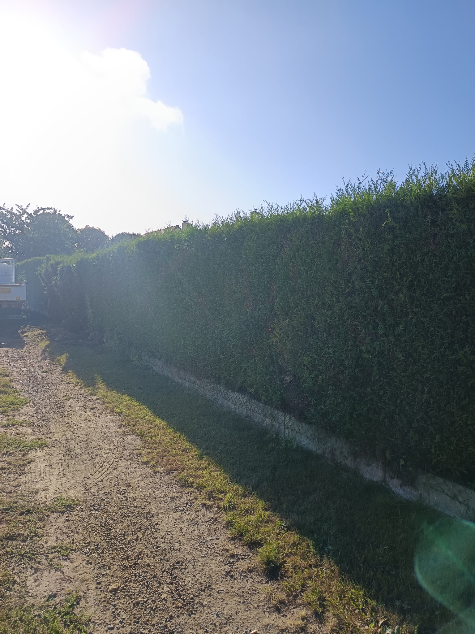 Haie végétale avant travaux